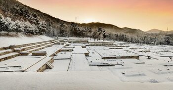 메인사진