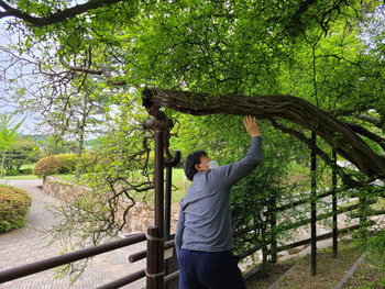 메인사진