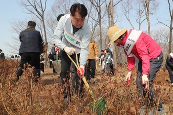 메인사진