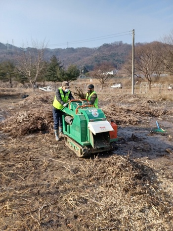 메인사진